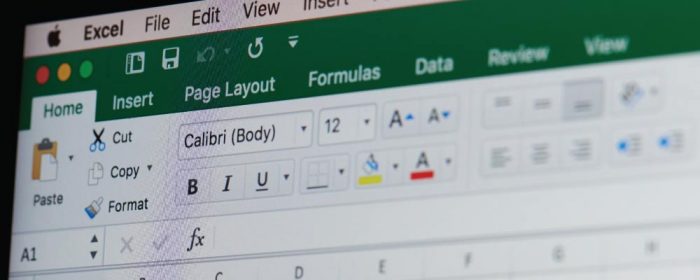 What is microsoft excel