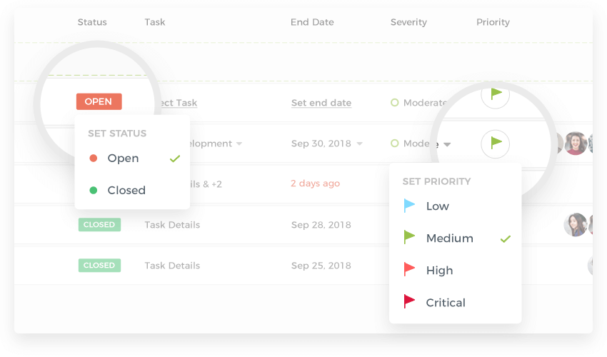 Issue Priority and Status