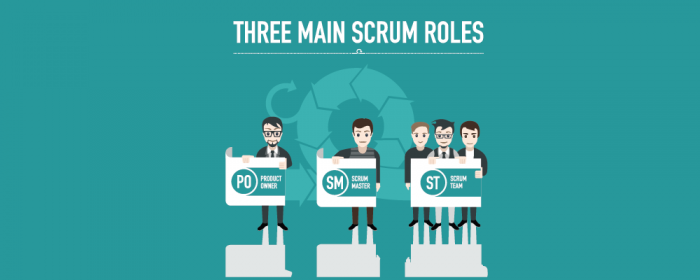Scrum role