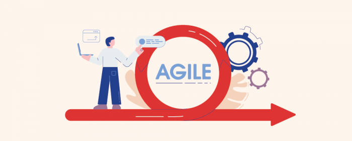 Agile development process