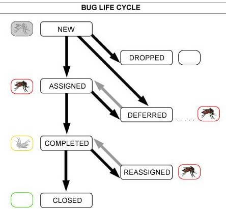 Bug life cycle