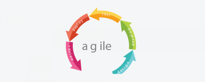 Bug Life Cycle - agile testing