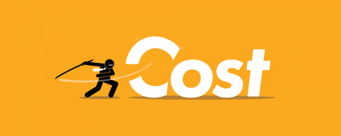 reduce cost - virtual project management