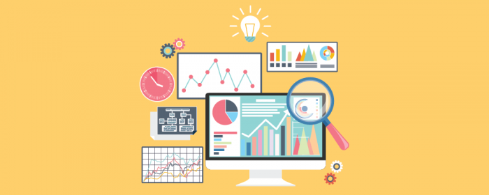 monitor the progress - project manager roles