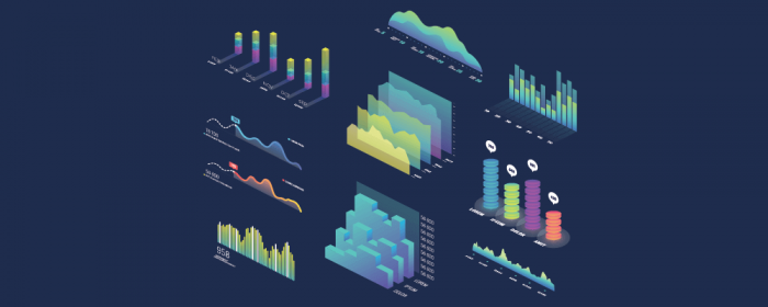 visualize future - project manager roles