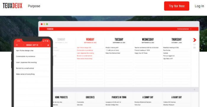 TuexDuex is a top remote work tool