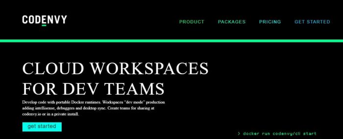 codeny web development software