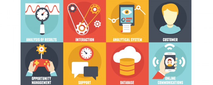 What is program management