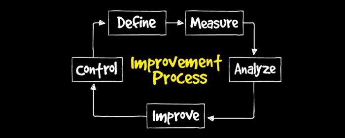 what is business process improvement