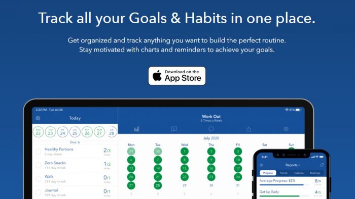 Strides goal tracking