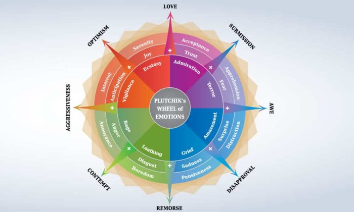 PLutchik's-wheel-of-emotions