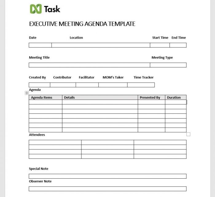 Executive Agenda Item Template