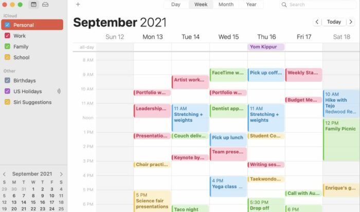 Apple iCal view