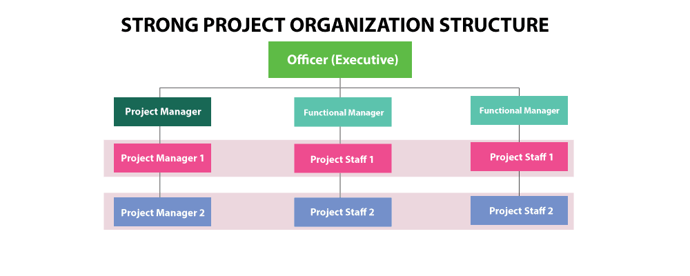 strong-project-organization-structure