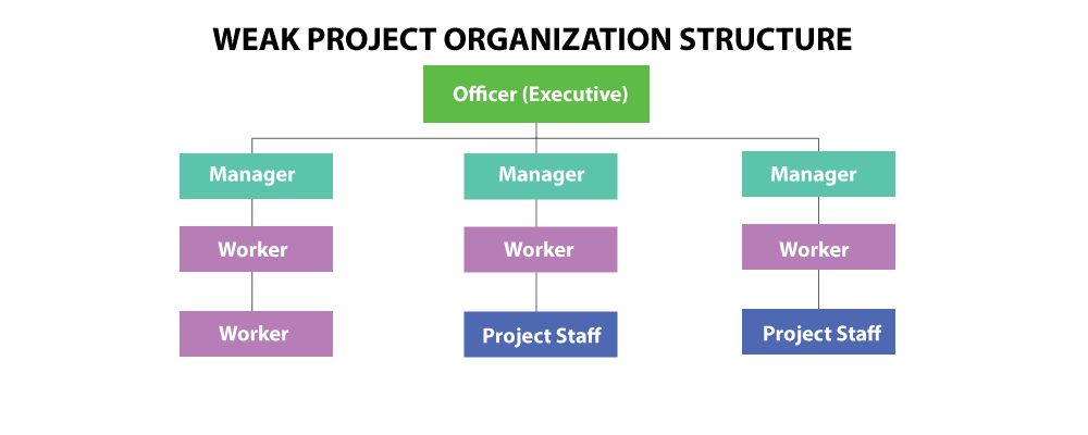 Project Management Organization - Structure and Chart